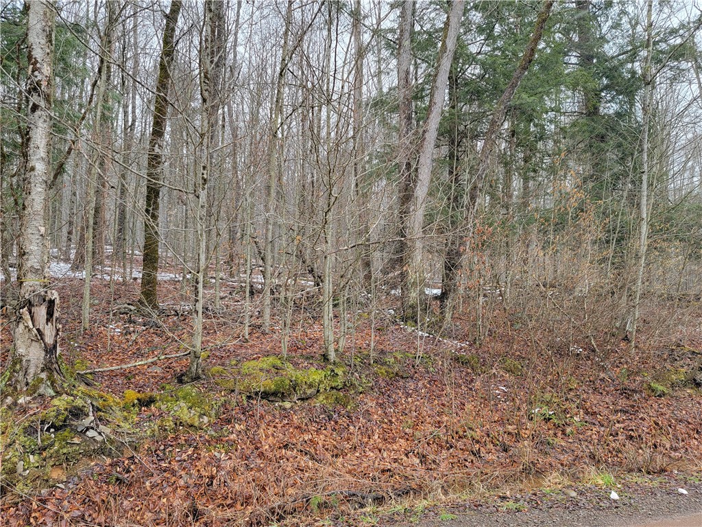 0 Schlafer Road Bainbridge, NY 13733 - Photo 3 of 19