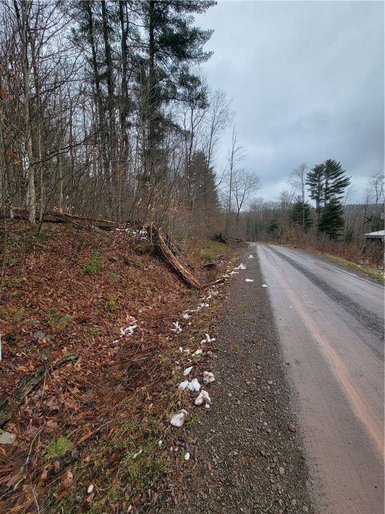 0 Schlafer Road Bainbridge, NY 13733 - Photo 4 of 19