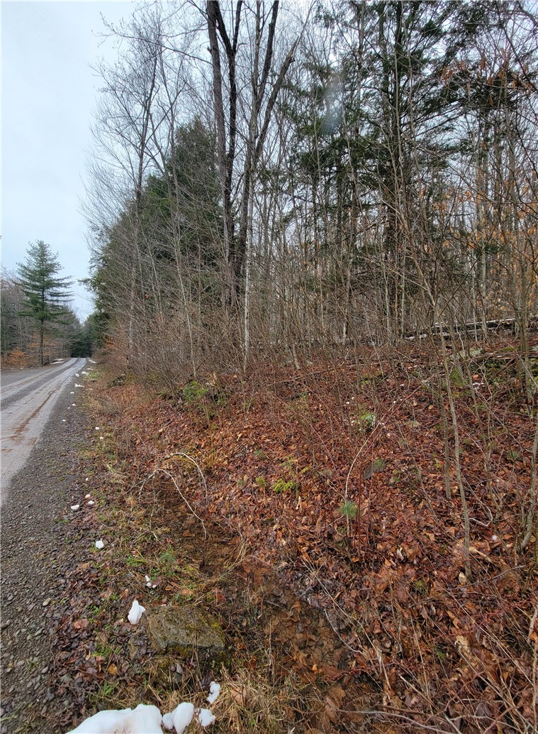 0 Schlafer Road Bainbridge, NY 13733 - Photo 5 of 19