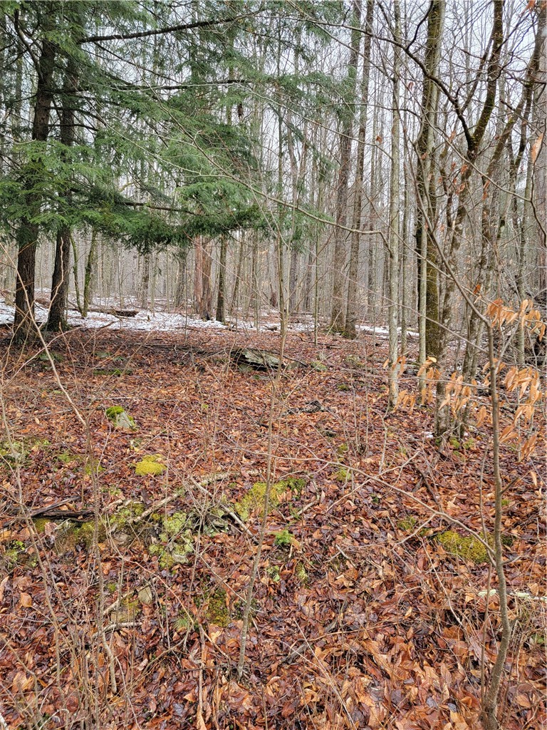 0 Schlafer Road Bainbridge, NY 13733 - Photo 6 of 19