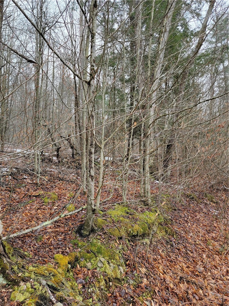 0 Schlafer Road Bainbridge, NY 13733 - Photo 7 of 19