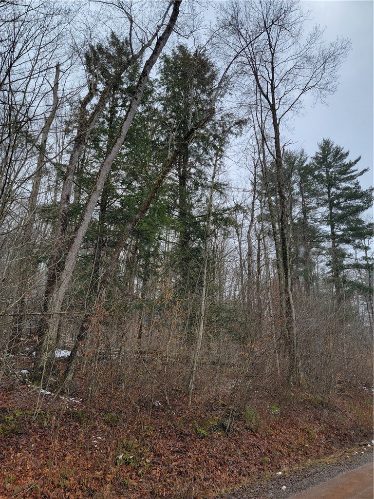 0 Schlafer Road Bainbridge, NY 13733 - Photo 8 of 19