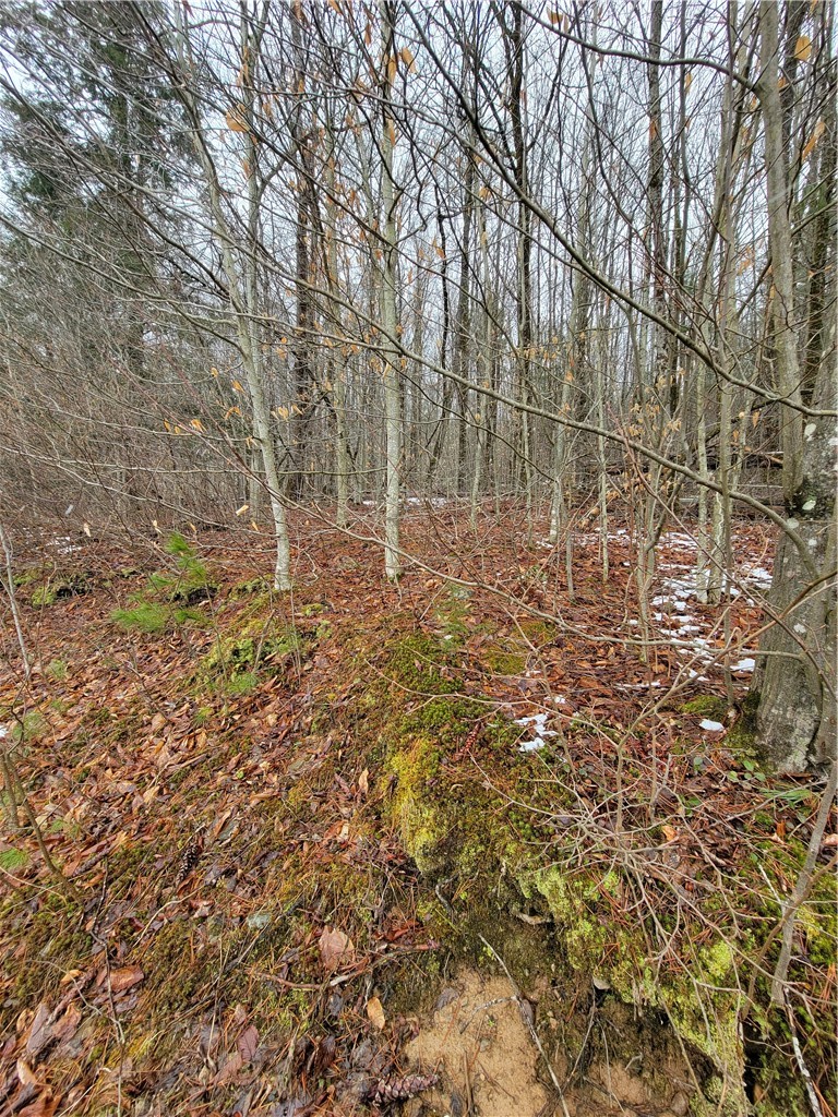 0 Schlafer Road Bainbridge, NY 13733 - Photo 10 of 19