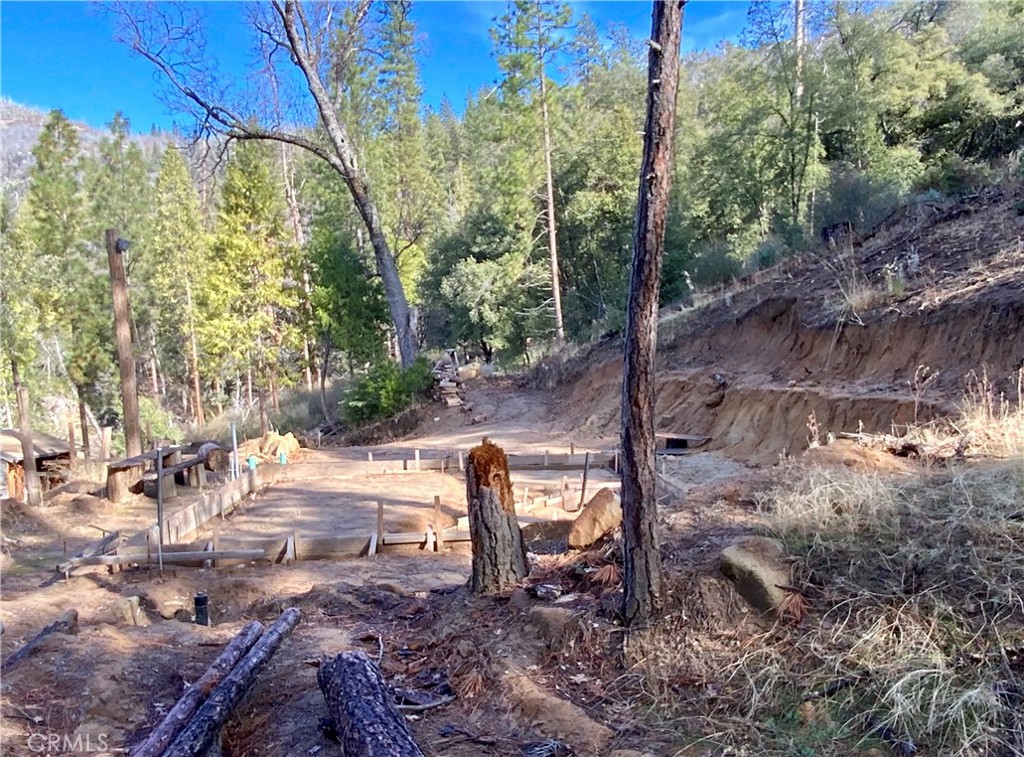 50963 Chu Ranch Road Oakhurst, CA 93644 - Photo 11 of 14 a view of a backyard with trees