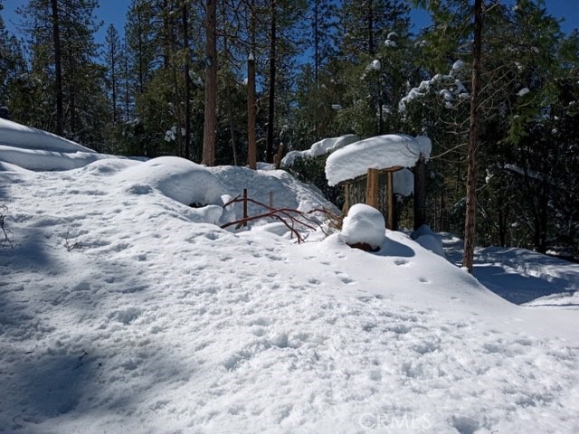 50963 Chu Ranch Road Oakhurst, CA 93644 - Photo 14 of 14 a view of backyard with a table and chairs under an umbrella