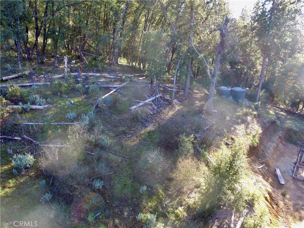 50963 Chu Ranch Road Oakhurst, CA 93644 - Photo 18 of 26 a view of a forest with trees
