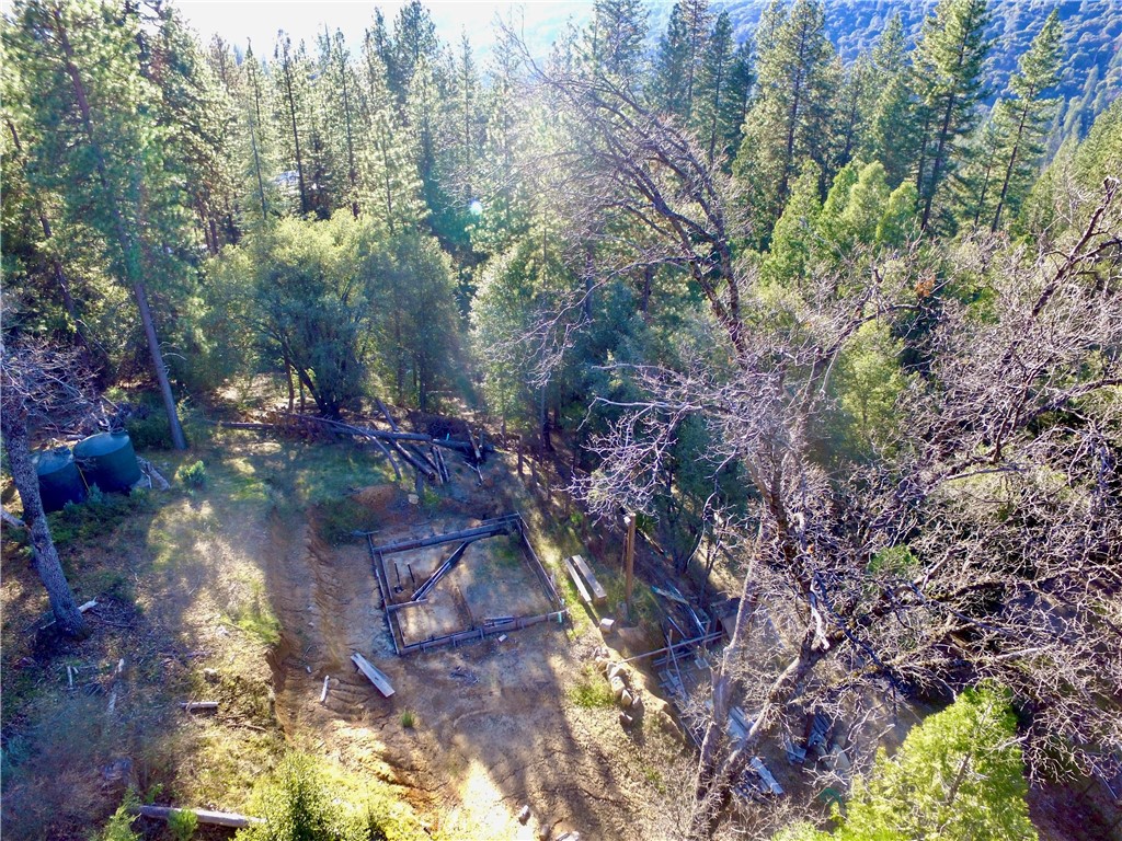 50963 Chu Ranch Road Oakhurst, CA 93644 - Photo 20 of 26 a view of a forest with trees