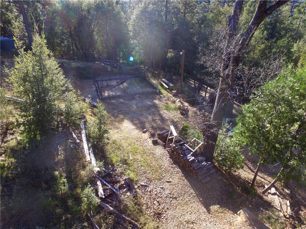 50963 Chu Ranch Road Oakhurst, CA 93644 - Photo 21 of 26 a view of yard