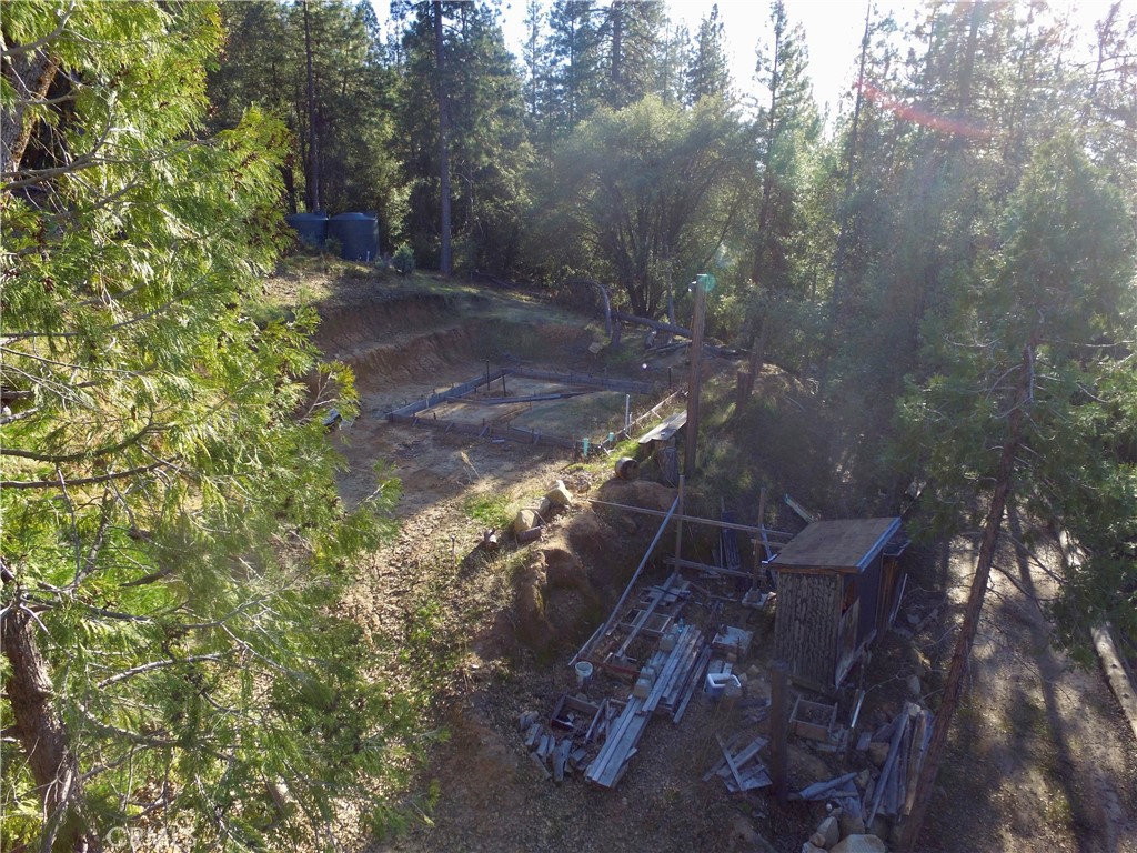 50963 Chu Ranch Road Oakhurst, CA 93644 - Photo 24 of 26 a view of a yard with plants and trees