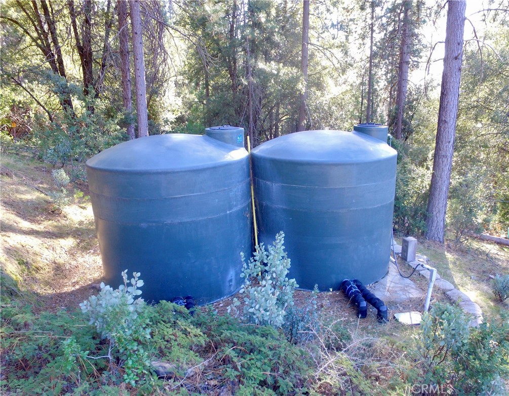 50963 Chu Ranch Road Oakhurst, CA 93644 - Photo 25 of 26 a view of a yard with plants and trees