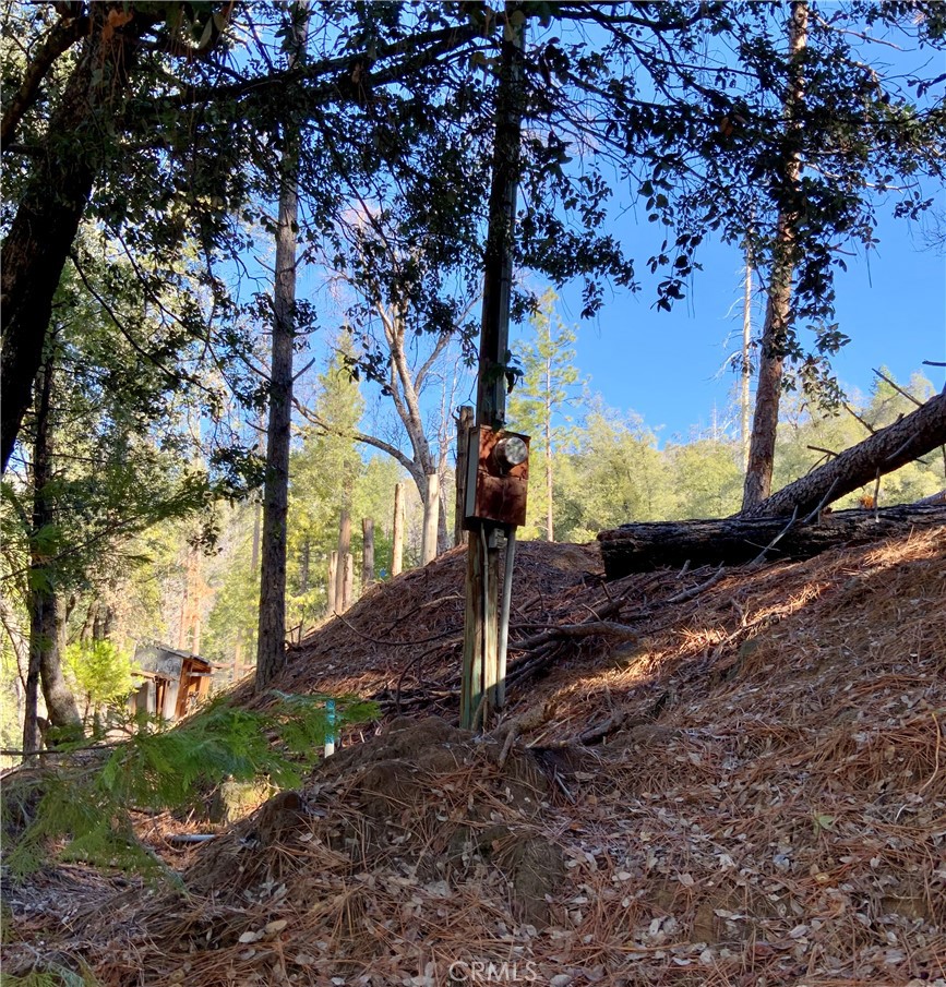 50963 Chu Ranch Road Oakhurst, CA 93644 - Photo 5 of 14 a view of a tree in a yard