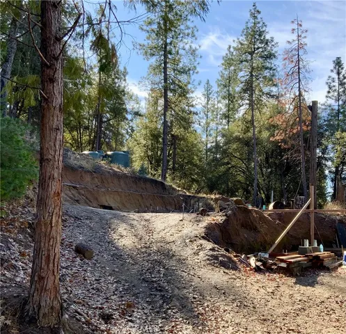a view of a slide with a tree