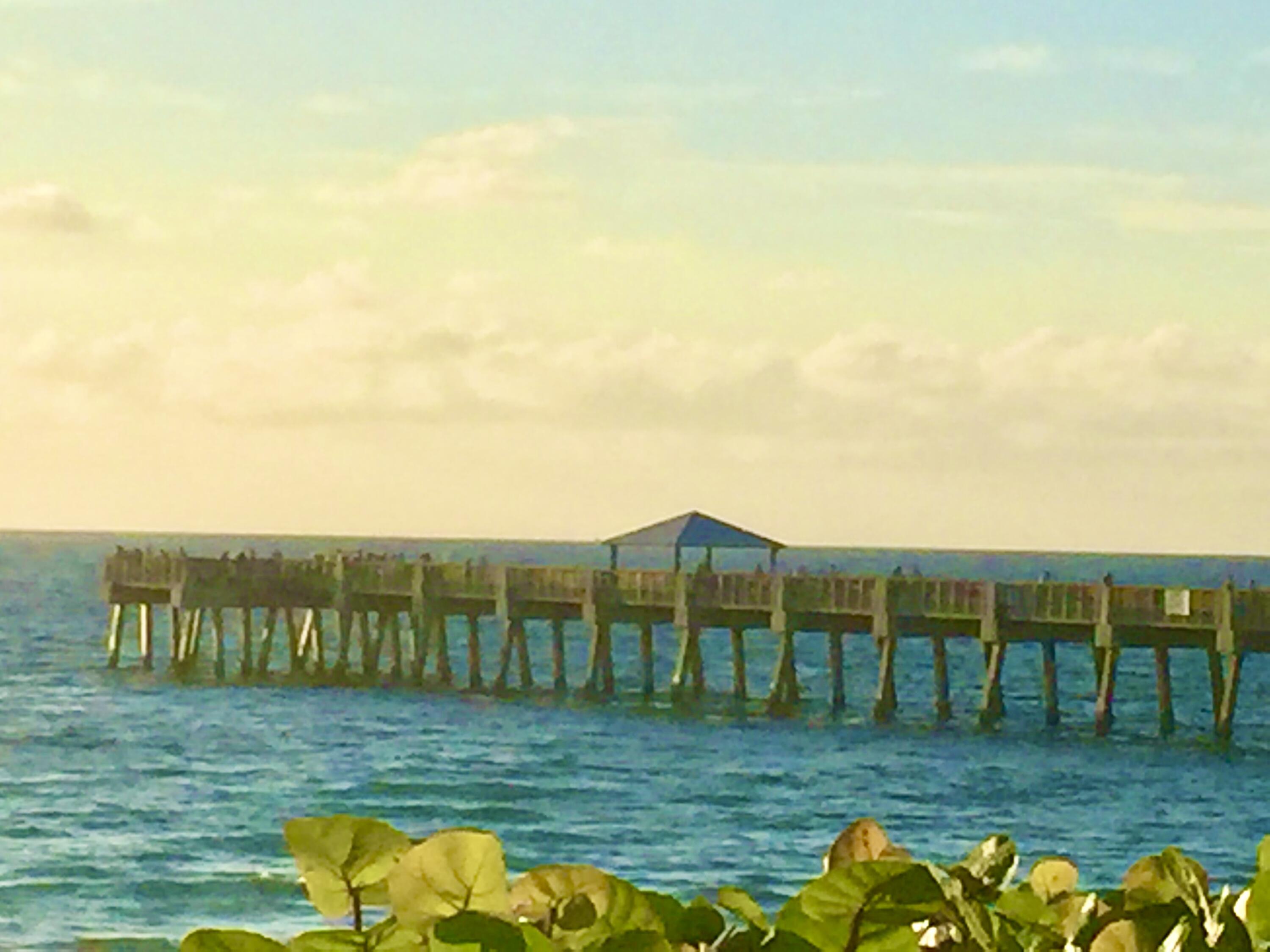 107 Mulligan Place Jupiter, FL 33458 - Photo 43 of 43 a view of a big yard with a swimming pool