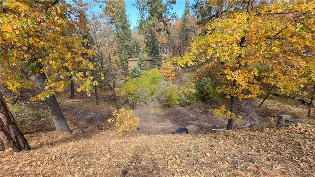a view of a yard with trees