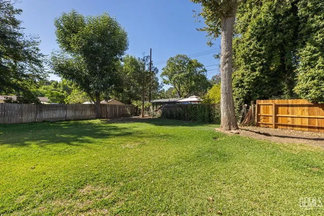 a view of a backyard with a garden and trees