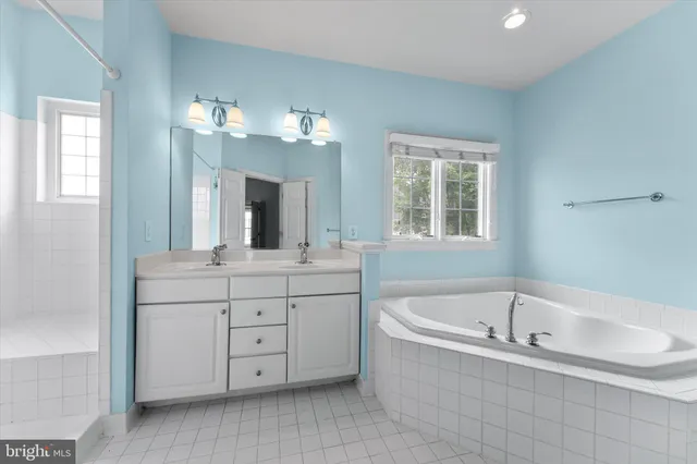 a bathroom with a sink a large mirror and a bathtub