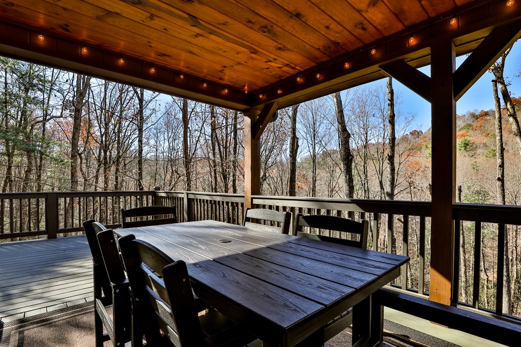 729 Poplar Hollow Road Ellijay, GA 30540 - Photo 4 of 58 Gallery Image 4
