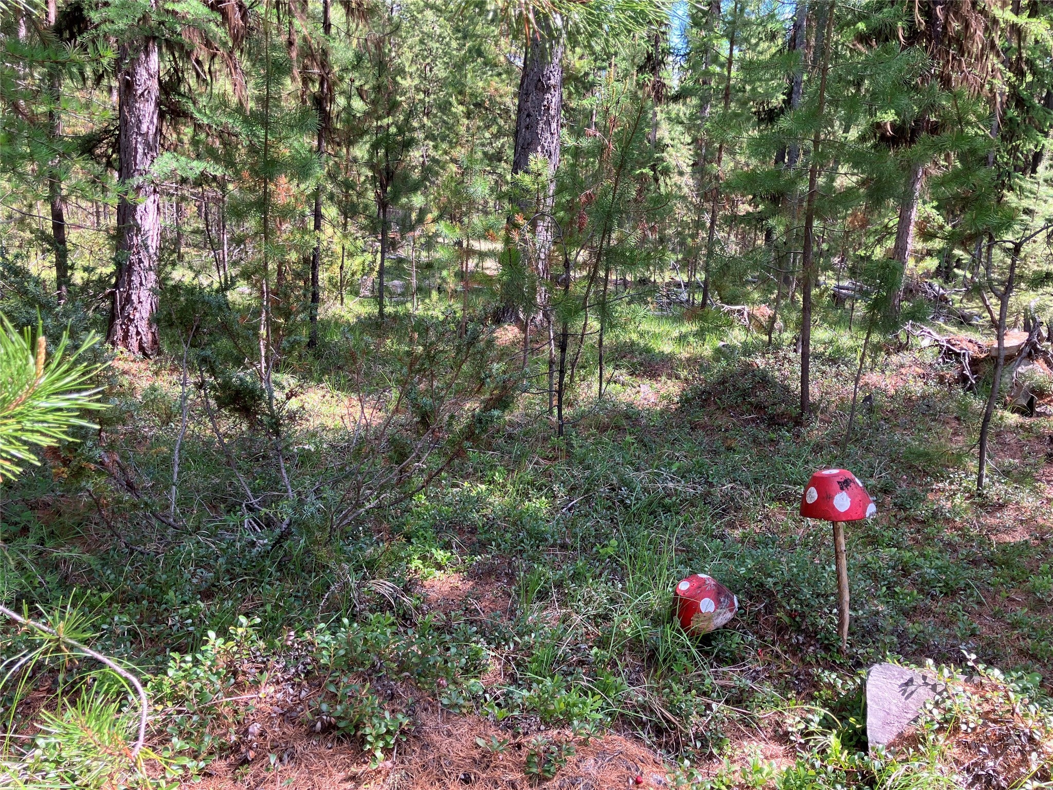 1606 North Fork Yaak Road Troy, MT 59935 - Photo 90 of 98 Gallery Image 90