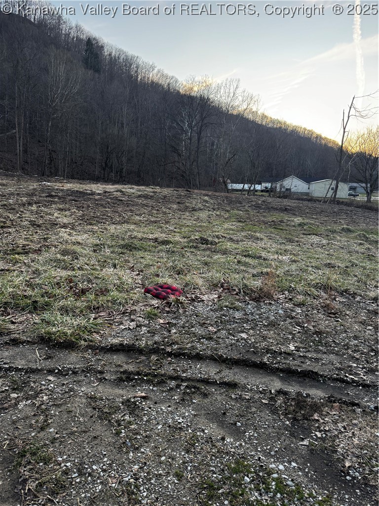 1696 Limestone Branch Road Harts, WV 25524 - Photo 17 of 18 Gallery Image 17