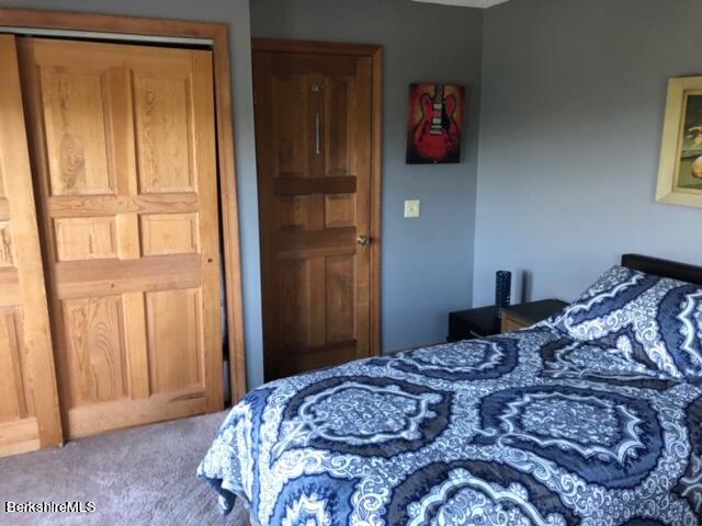 140 Arthur Pease Road Middlefield, MA 01011 - Photo 31 of 43 a bedroom with a bed and cabinets