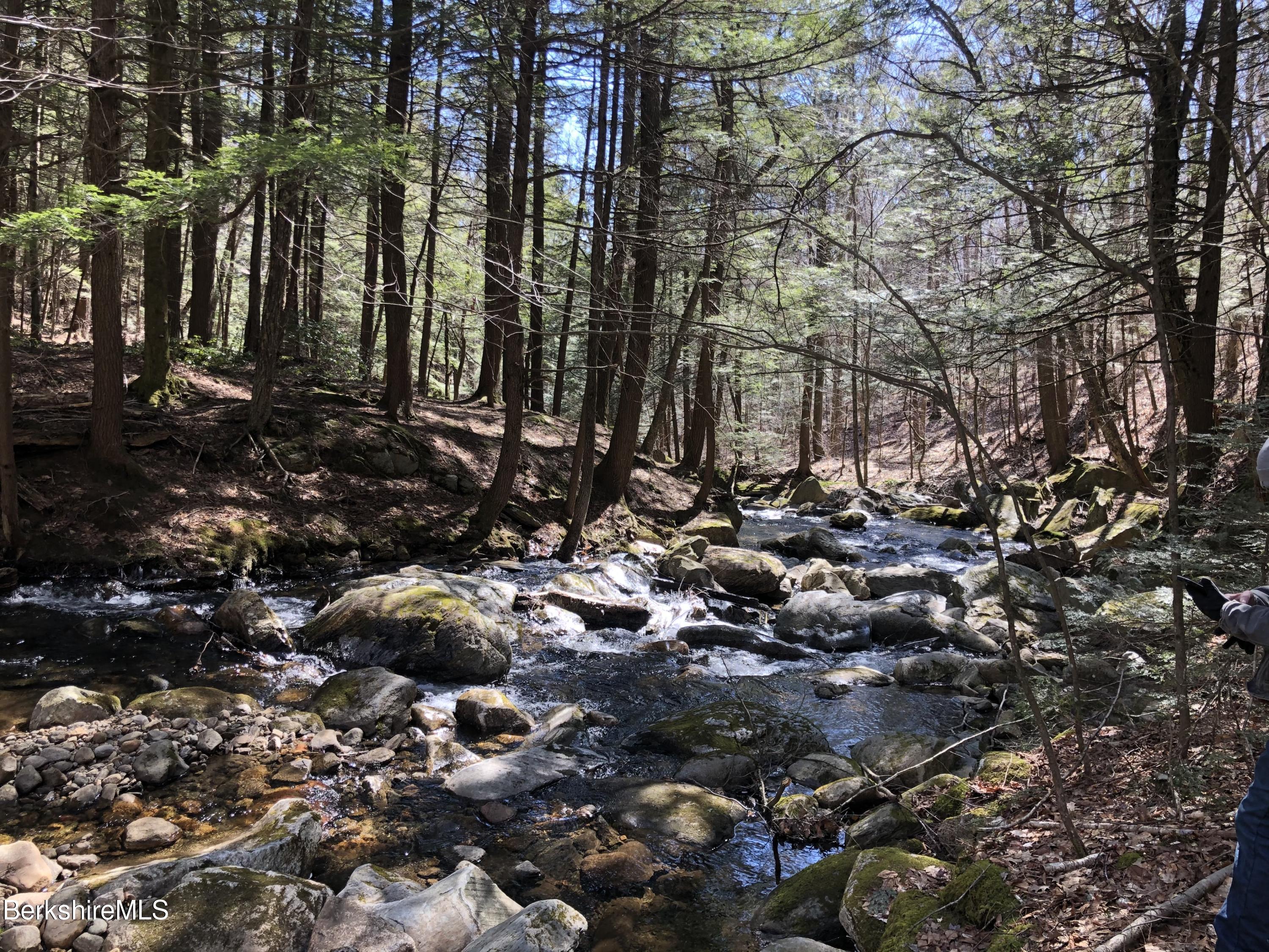 140 Arthur Pease Road Middlefield, MA 01011 - Photo 9 of 43 a view of a forest with trees