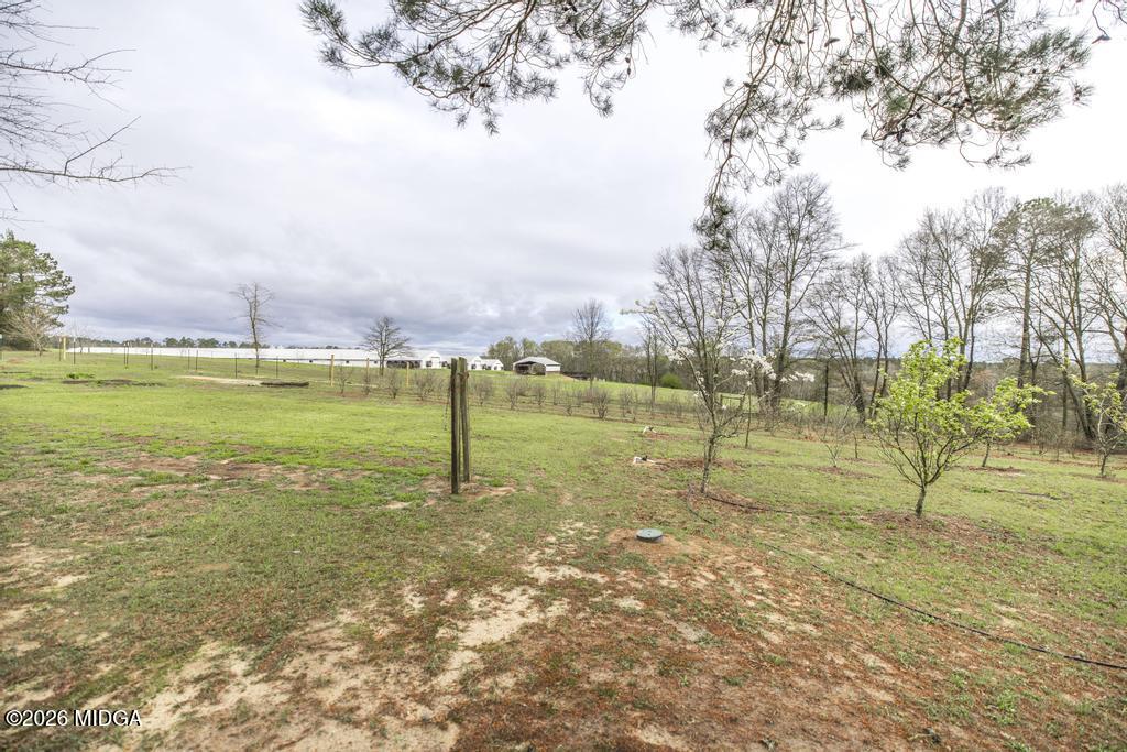 319 Pope Road Roberta, GA 31078 - Photo 33 of 42 a view of a field with a tree