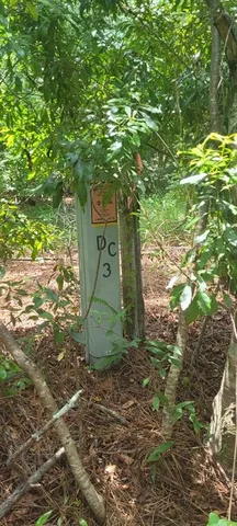 $32,800 | Northeast Dixon Court, Lee, FL 32059