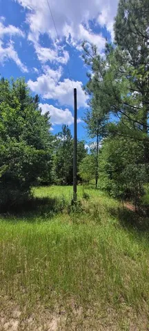 $32,800 | Northeast Dixon Court, Lee, FL 32059