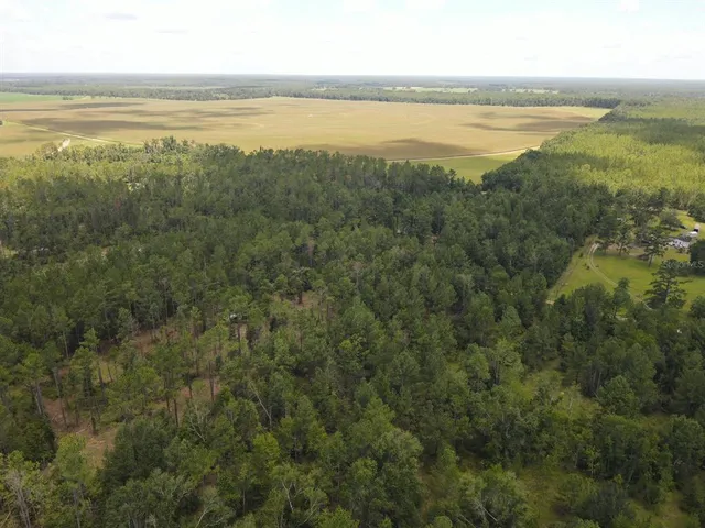 $32,800 | Northeast Dixon Court, Lee, FL 32059