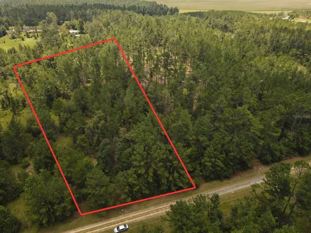 $32,800 | Northeast Dixon Court, Lee, FL 32059