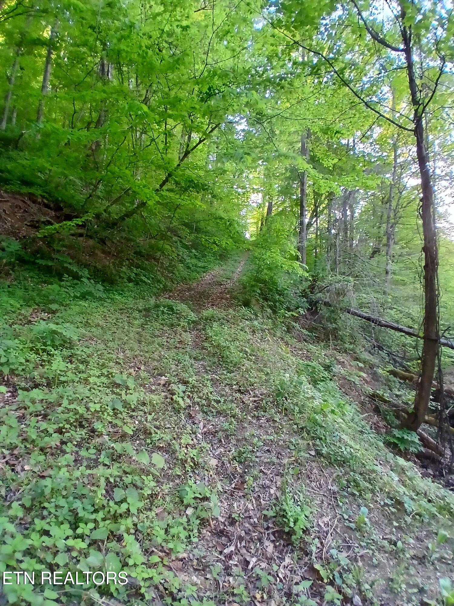 469 Brownlo Road Sneedville, TN 37869 - Photo 42 of 58 20260427_192402