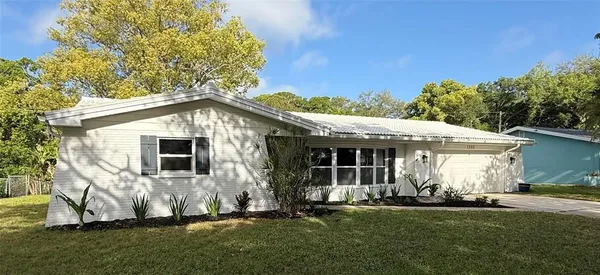a view of a backyard with plants and large tree