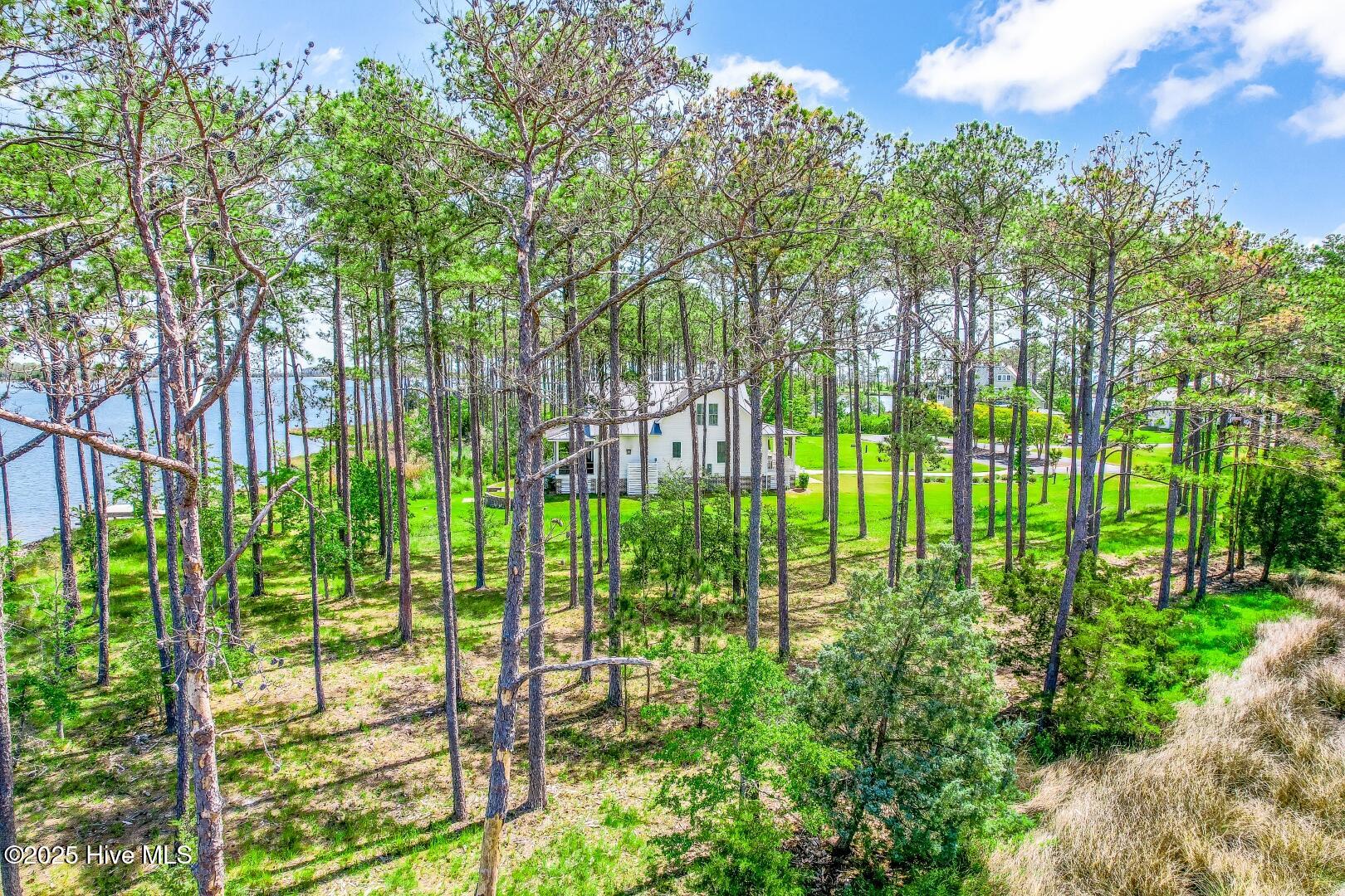 241 Oyster Point Road Oriental, NC 28571 - Photo 16 of 53 241 Oyster Point (36)