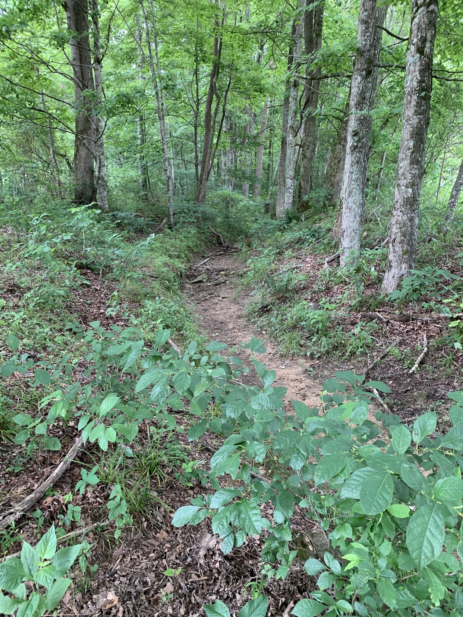 570 Murdock Road Sparta, TN 38583 - Photo 25 of 28 Gallery Image 25