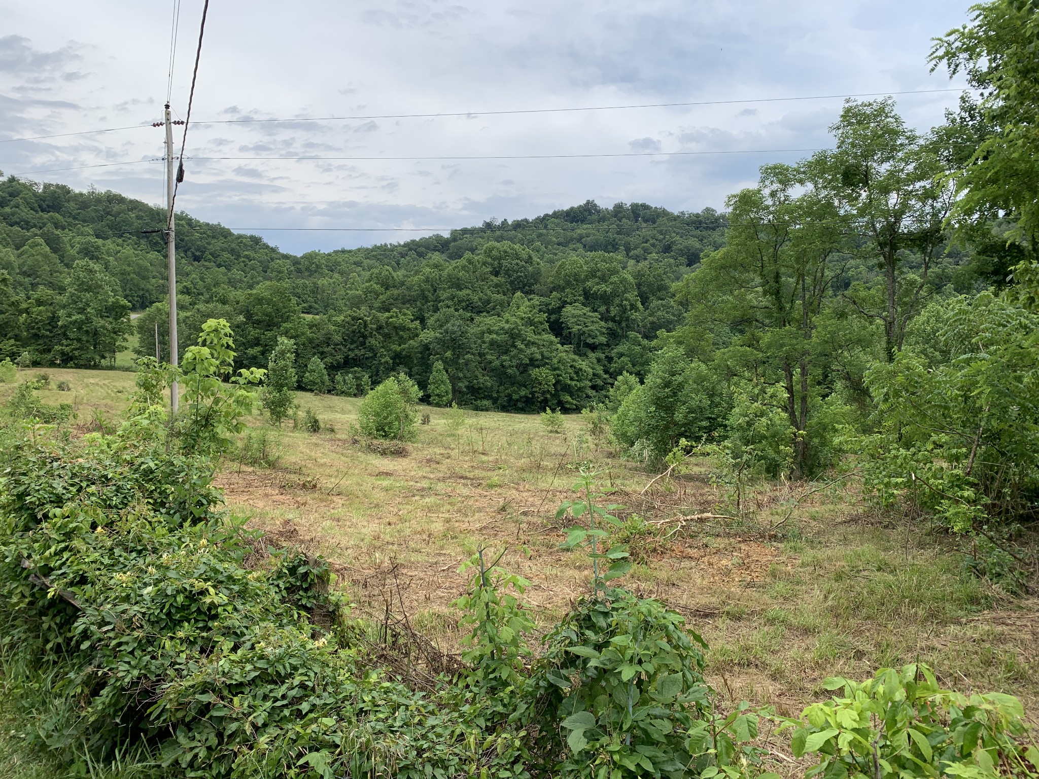 570 Murdock Road Sparta, TN 38583 - Photo 5 of 28 Gallery Image 5