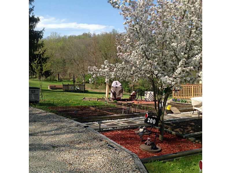 200 McIntyre Road Shelocta, PA 15774 - Photo 8 of 13 Yard/Garden.