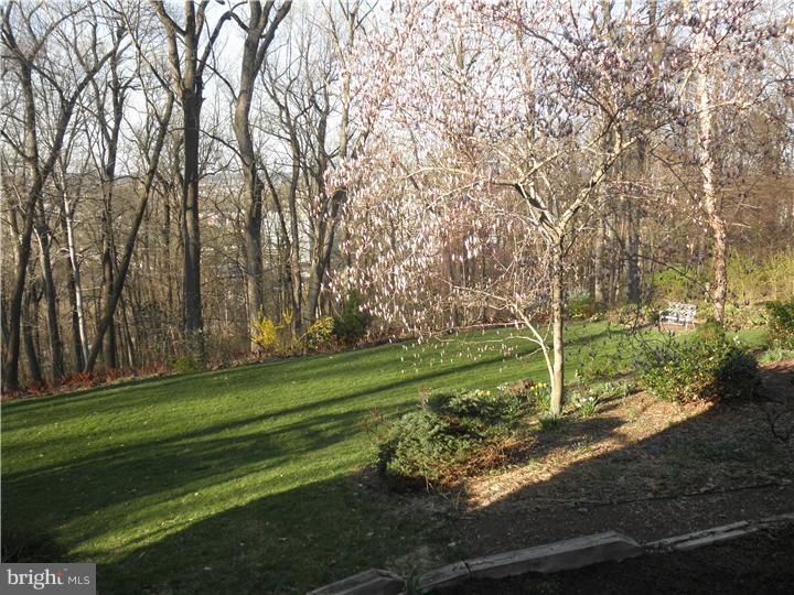 1416 Rene Road Villanova, PA 19085 - Photo 22 of 25 Exterior