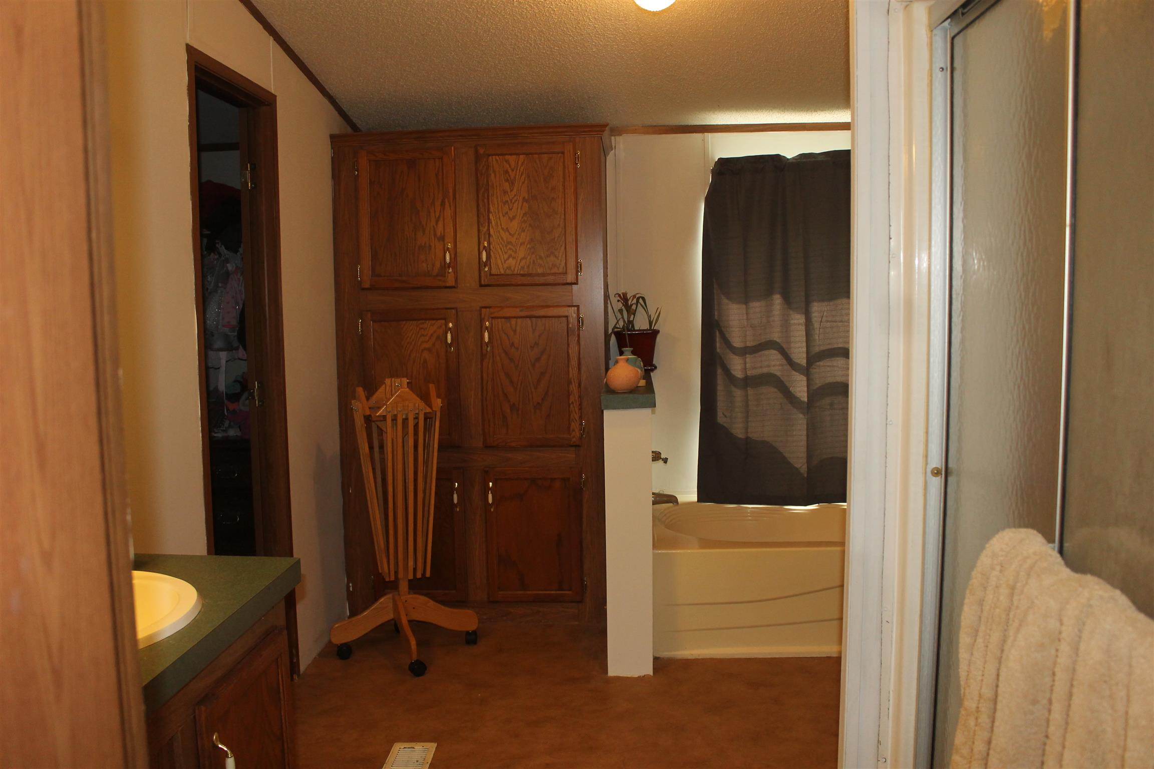 274 Big Ridge Road Indian Mound, TN 37079 - Photo 13 of 16 Full master bath with large closet.