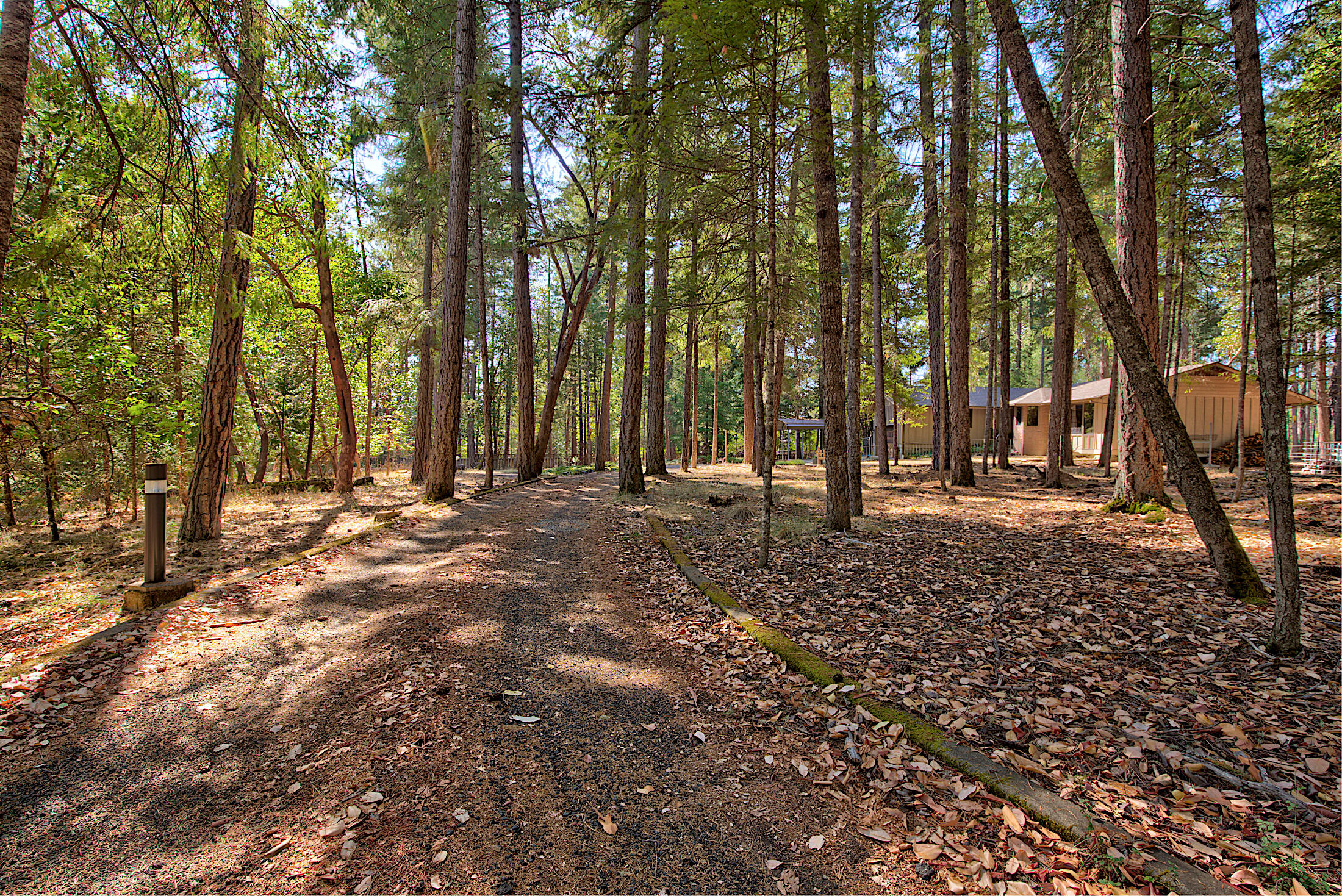 150 Combs Drive Merlin, OR 97532 - Photo 54 of 58 125A9790_1_2_3_4