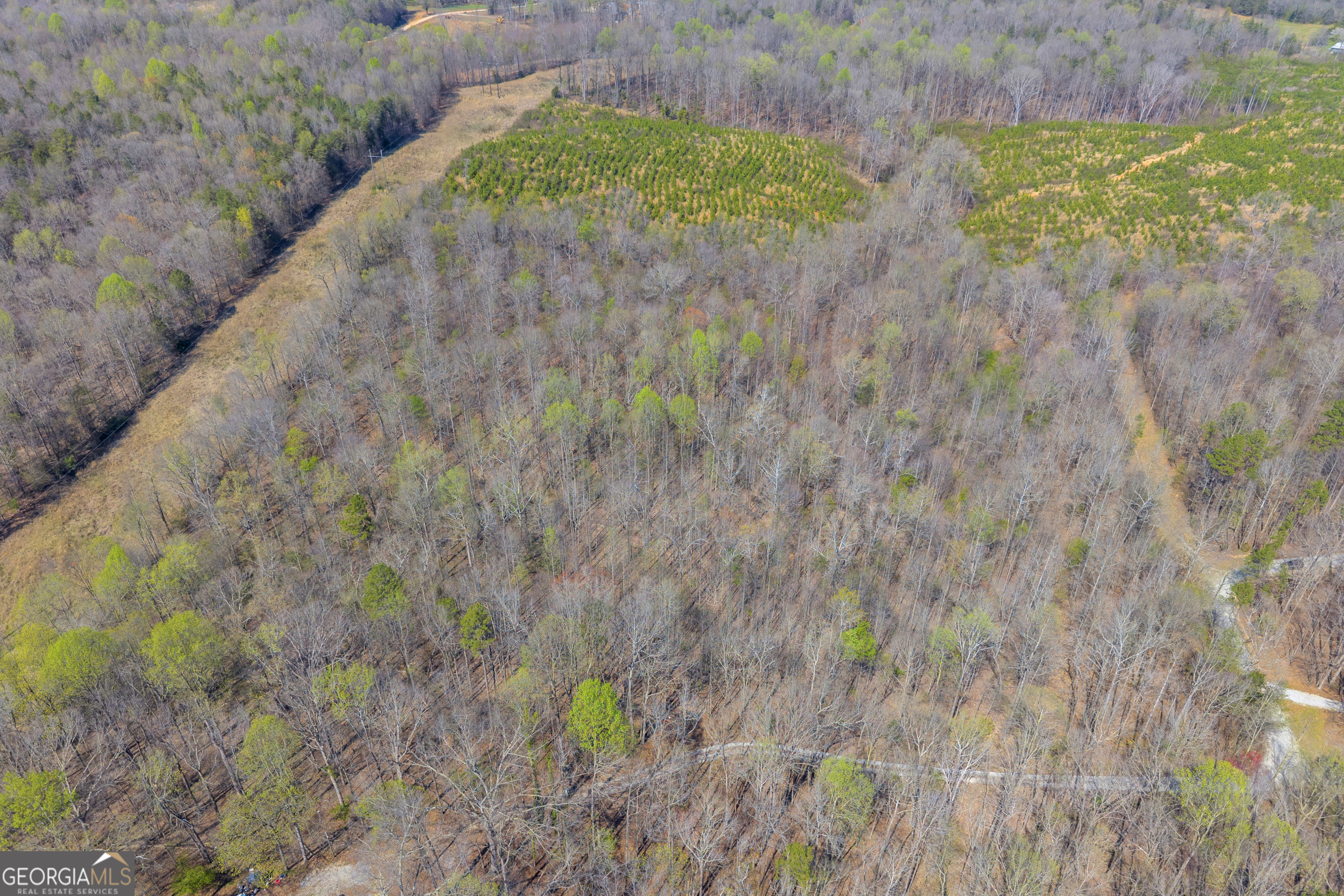 0 Rolling Rock Road Carnesville, GA 30521 - Photo 4 of 4