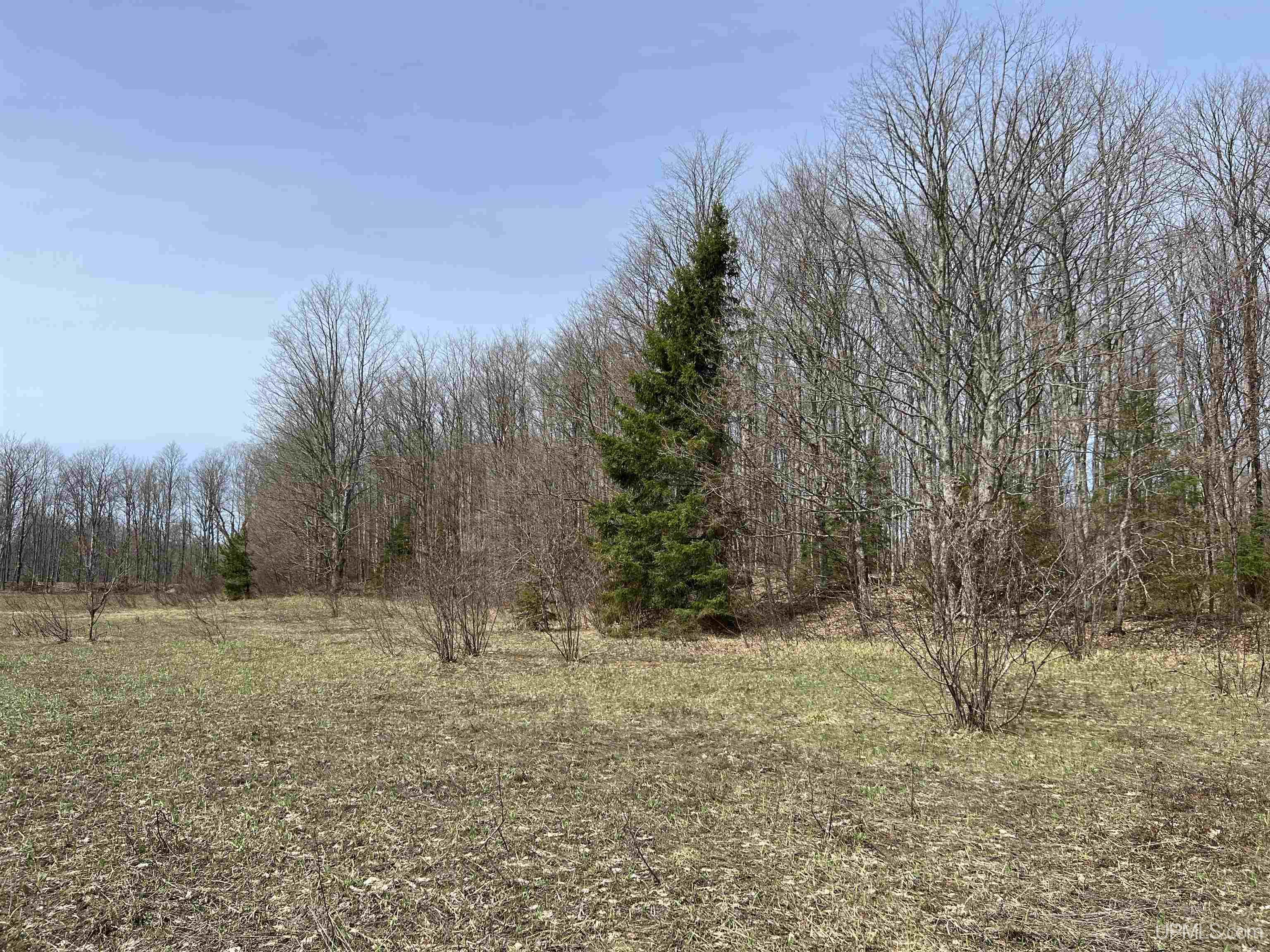 H58 St Shingleton Mi 49895 Shingleton, MI 49884 - Photo 8 of 21