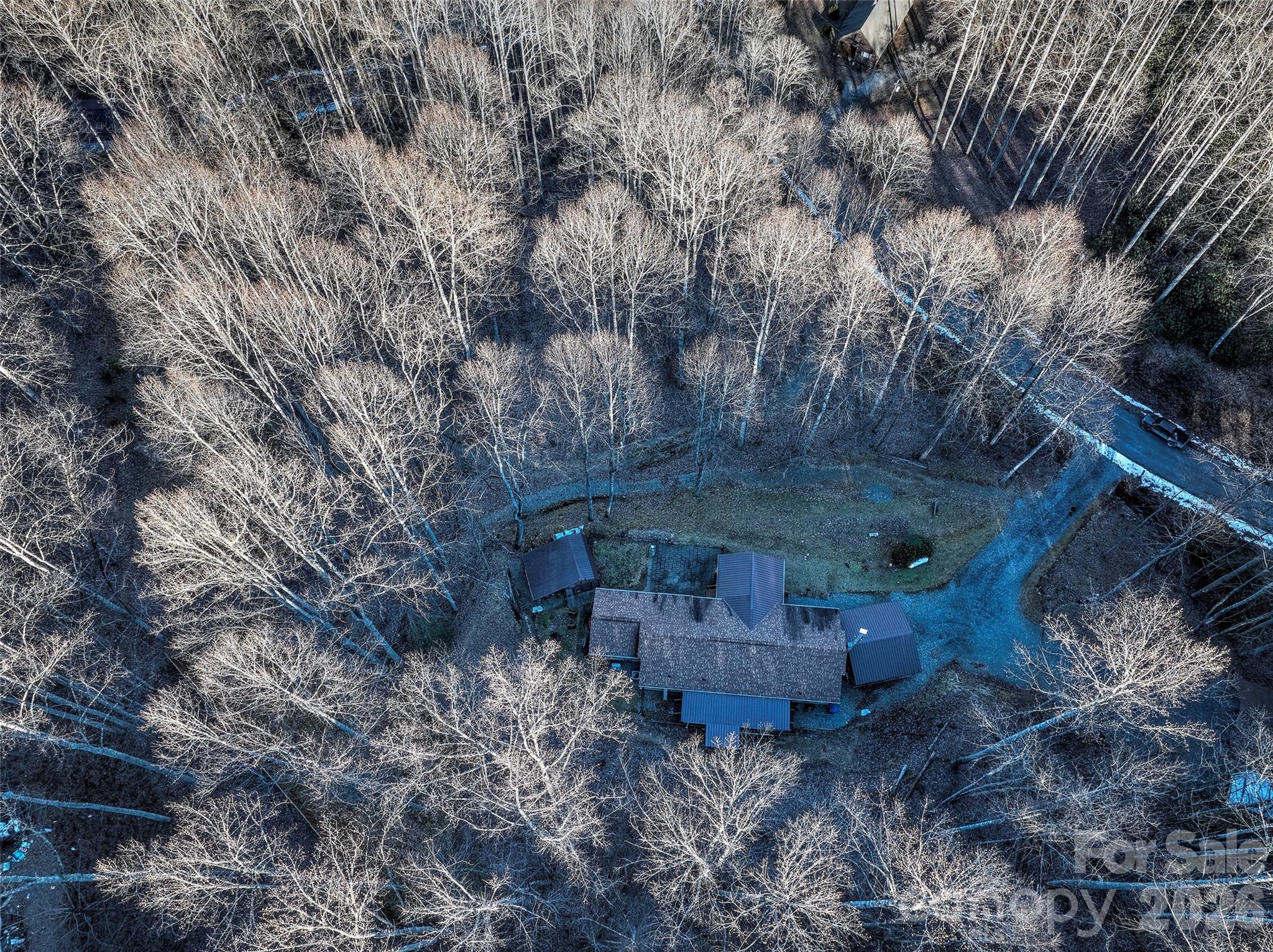 390 Camp Branch Road Whittier, NC 28789 - Photo 3 of 24