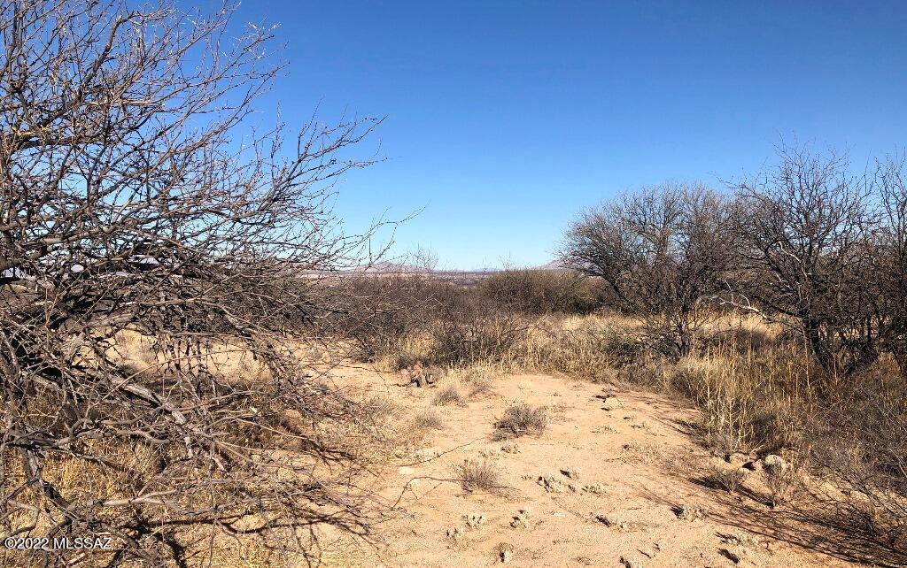 0 West Sullivan Road St. David, AZ 85630 - Photo 15 of 16
