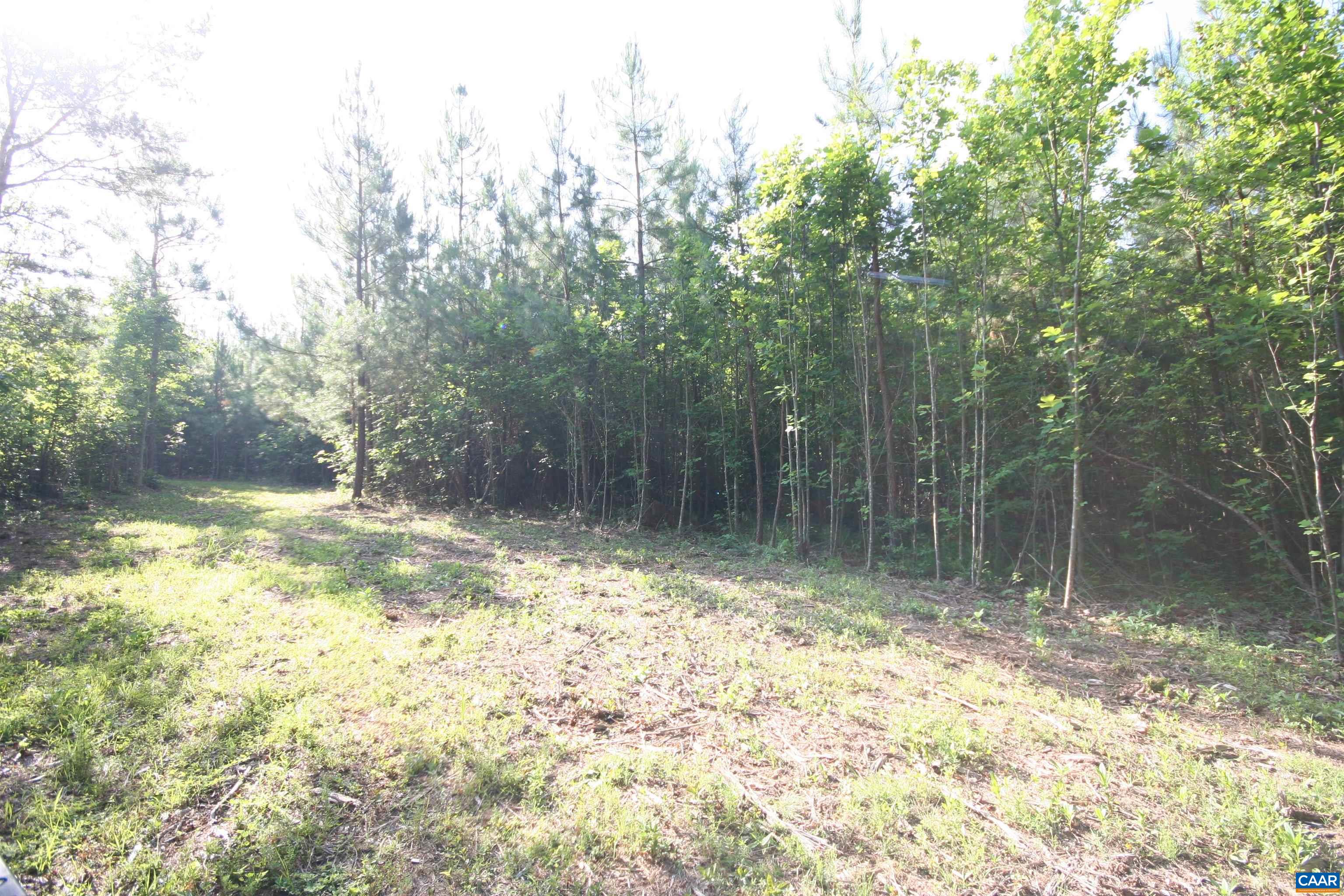 Tba Ridge Road Arvonia, VA 23004 - Photo 46 of 50