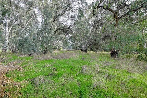 $599,900 | 3421 County Road 88C, Dunnigan, CA 95937