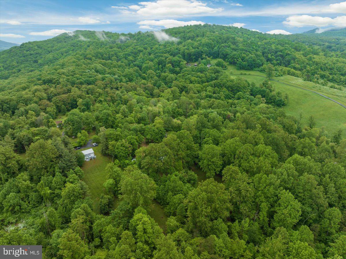 123 Roundabout Road Linden, VA 22642 - Photo 54 of 60 Gallery Image 54
