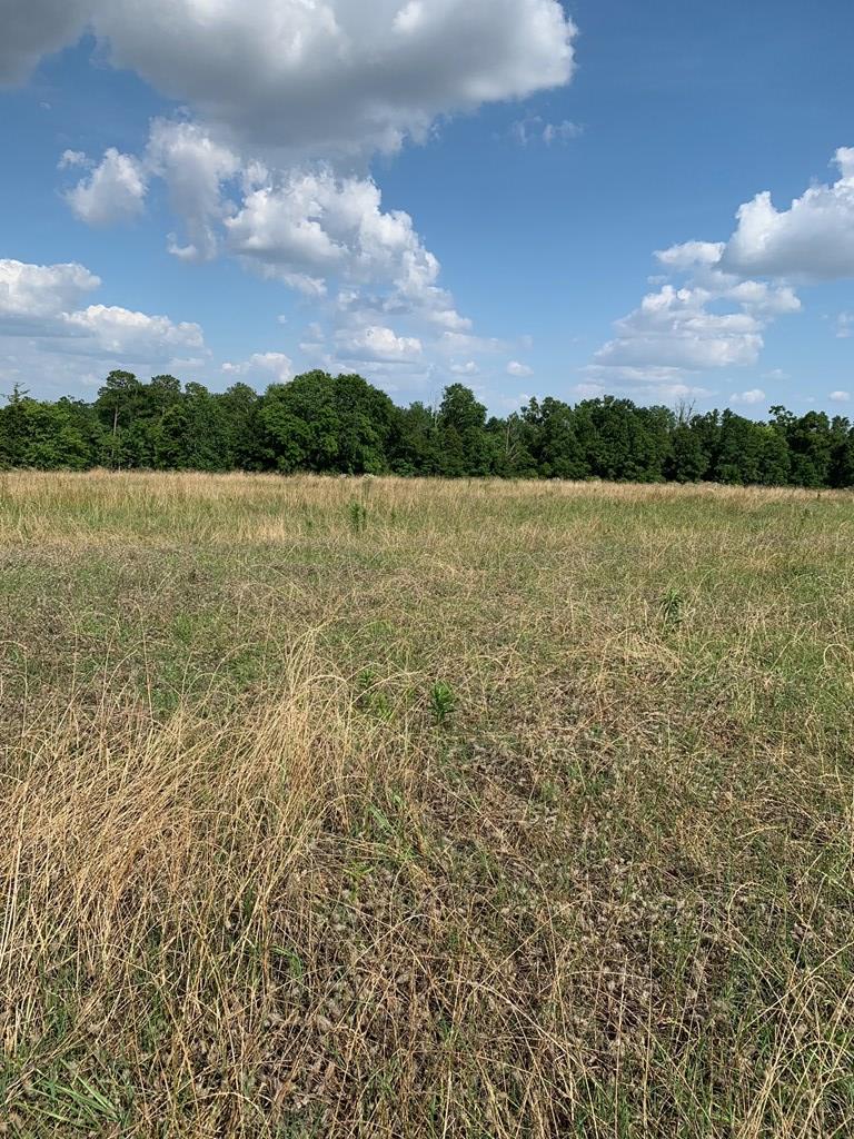 Lot 3 South Co Road Headland, AL 36345 - Photo 7 of 11