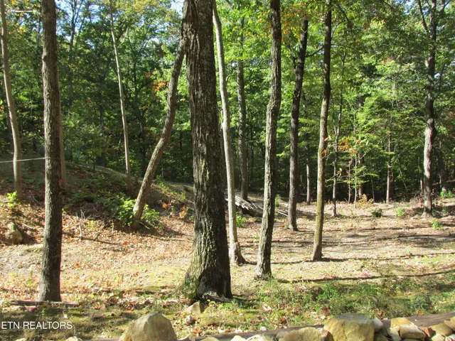 $489,900 | 1042 Old Oliver Road, Walland, TN 37886