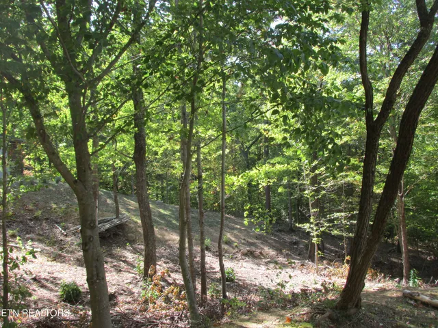 $489,900 | 1042 Old Oliver Road, Walland, TN 37886