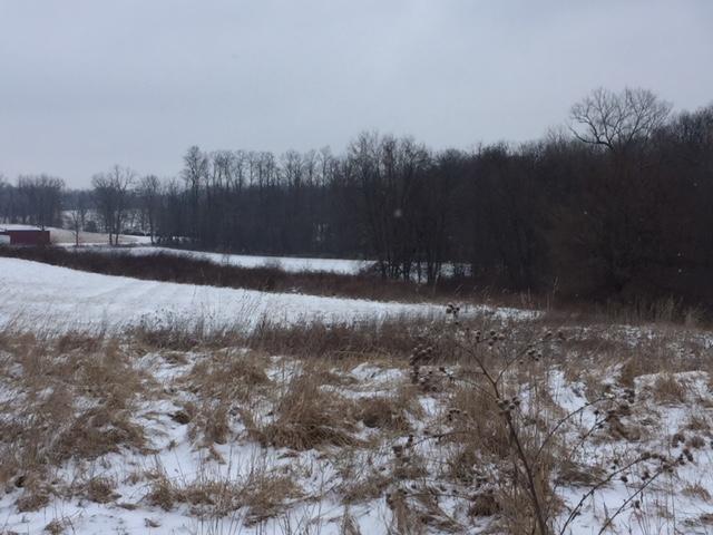 6264 Castle Road Johnstown, OH 43031 - Photo 2 of 4 Gallery Image 2